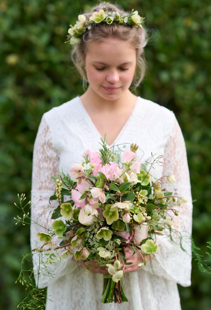 Helleborus Magnificent Bells HilveraFlorist