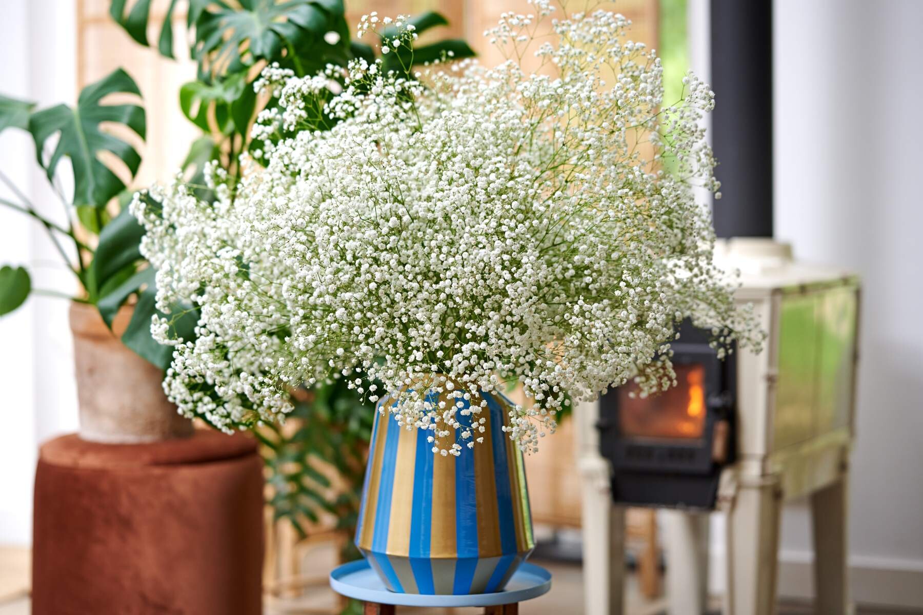 Gypsophila Zinzi® Lunara bouquet in a blue striped vase, in a cosy living room with plants and a wood stove